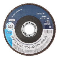 2213210 Круг лепестковый торцевой 125х22, Р100 (алюминий)