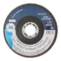 2213210 Круг лепестковый торцевой 125х22, Р100 (алюминий)
