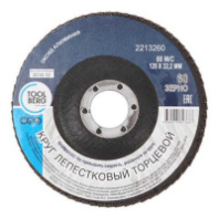 2213260 Круг лепестковый торцевой 125х22, Р60 (алюминий)